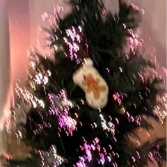 光るクリスマスツリーの画像