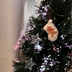 光るクリスマスツリーの画像