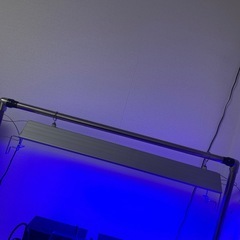 海水用ライトの画像