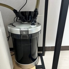 60センチ水槽セット　スネークヘッドの画像