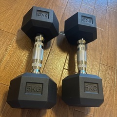 ビーアクティブ ポパイアレー 5kg 六角形　ダンベル ヘックスダンベル　5キロの画像