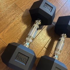 ビーアクティブ ポパイアレー 5kg 六角形　ダンベル ヘックスダンベル　5キロの画像