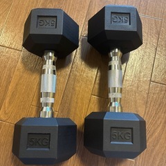 ビーアクティブ ポパイアレー 5kg 六角形　ダンベル ヘックスダンベル　5キロの画像