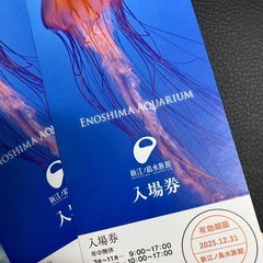 江ノ島水族館⚠️12/31本日まで⚠️の画像