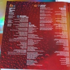 【未使用品】　Physical Thrills レコード　2枚セットの画像