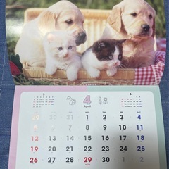 2026年壁掛カレンダー ふわもふフレンズ 犬 猫 うさぎの画像