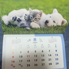 2026年壁掛カレンダー ふわもふフレンズ 犬 猫 うさぎの画像