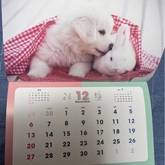 2026年壁掛カレンダー ふわもふフレンズ 犬 猫 うさぎの画像