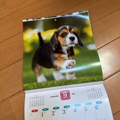 犬カレンダーの画像