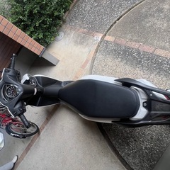 dio 2024 4000キロの画像