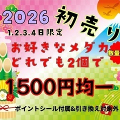 【五桜メダカ】 初売り企画1月1日〜4日まで　横須賀めだか…