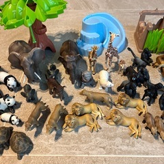 動物恐竜フィギュア・アニアの画像