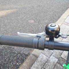 スイス「SCOTT」ジュニア自転車20インチの画像