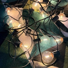 LEDストリングライト　ガーデンライト　イルミネーションライトの画像