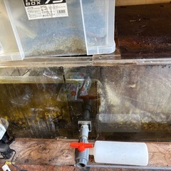 180×90×60cm水槽の画像