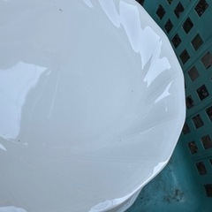 お皿6個セットの画像