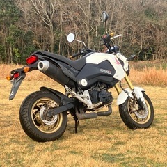 実働　グロム125 ホンダ　GROM FIの画像