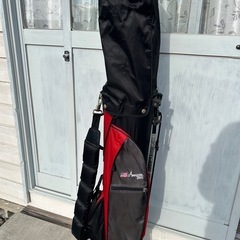 ナイキ　プロギア　ゴルフセット　13本セットの画像