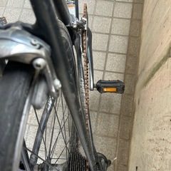 キャノンデールの画像