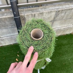 人工芝余り
の画像