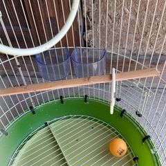 鳥籠（中古・外敵防御対策品）の画像