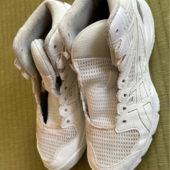 バスケットシューズ　24.0 　の画像