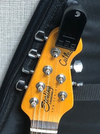 sterling  ギター　グリーン