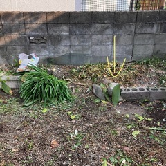 無料 ブロック 植木鉢 はらん 南天 等の画像