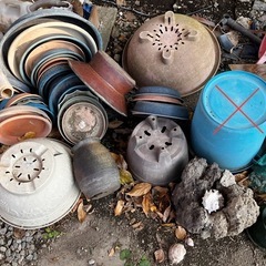 無料 ブロック 植木鉢 はらん 南天 等の画像