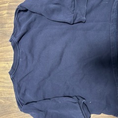 130トレーナー　きんぎょがにげたの画像