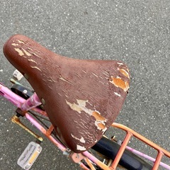 【決定済】ペットとお出かけ可能な自転車の画像