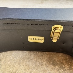 ギターケースの画像