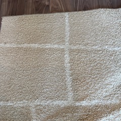 【日程調整中】ベージュの北欧風カーペットの画像