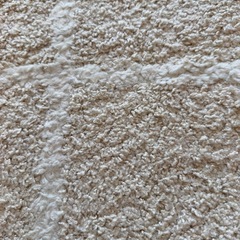 【日程調整中】ベージュの北欧風カーペットの画像