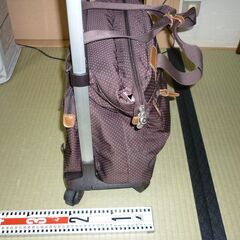 決定【ACE社バッグ】一泊、日帰り用トローリーカートの画像
