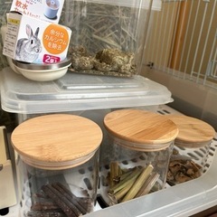 うさぎさんセットの画像