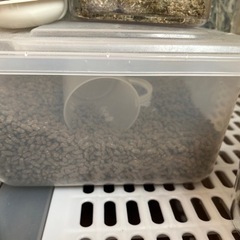 うさぎさんセットの画像