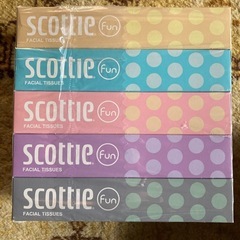 scottieティッシュ5箱未開封の画像