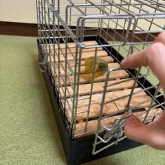 ペット　うさぎ　小動物　ケージ　　★2026/1/3までの画像