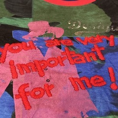 Desigual デシグアル　Tシャツ　の画像