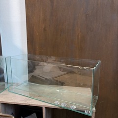 GEXガラス水槽の画像