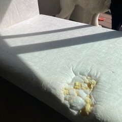 ソーデルハムンカバー付き2点セットの画像