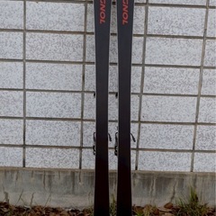 ロシニョール　スキー板の画像