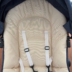 カトジ　バウンサー　の画像