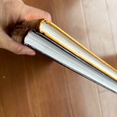 おしりたんてい　本　児童書の画像