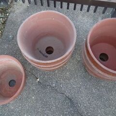 鉢　まとめて　1の画像