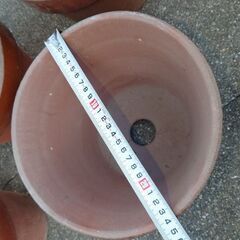 鉢　まとめて　1の画像