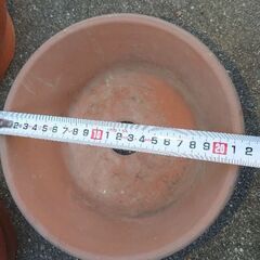 鉢 まとめて　2の画像