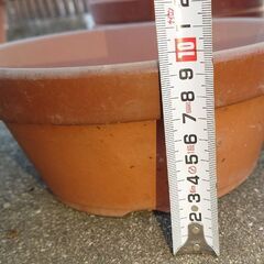 鉢 まとめて　2の画像