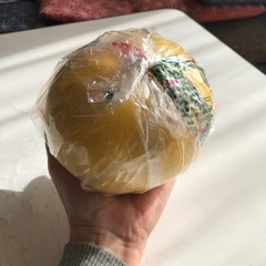 南国土佐文旦🍊2玉の画像